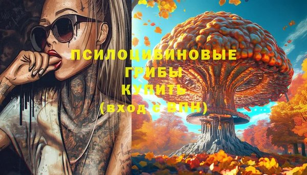 ALPHA-PVP Армянск