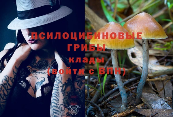 ALPHA-PVP Армянск